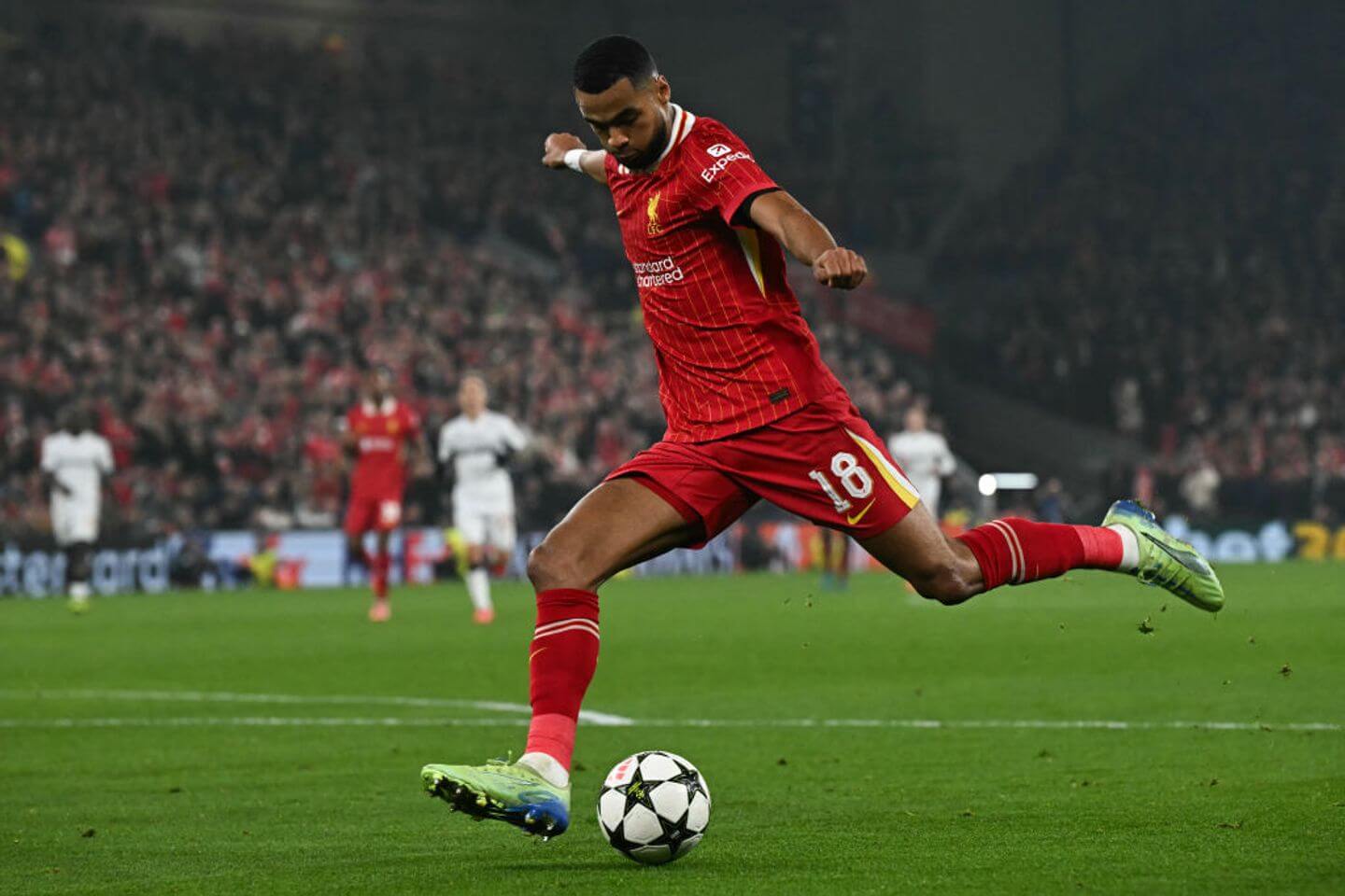 Liverpool vs Leverkusen live score updates: Diaz, Gakpo score 2 goals in 2 minutes Champions League match
