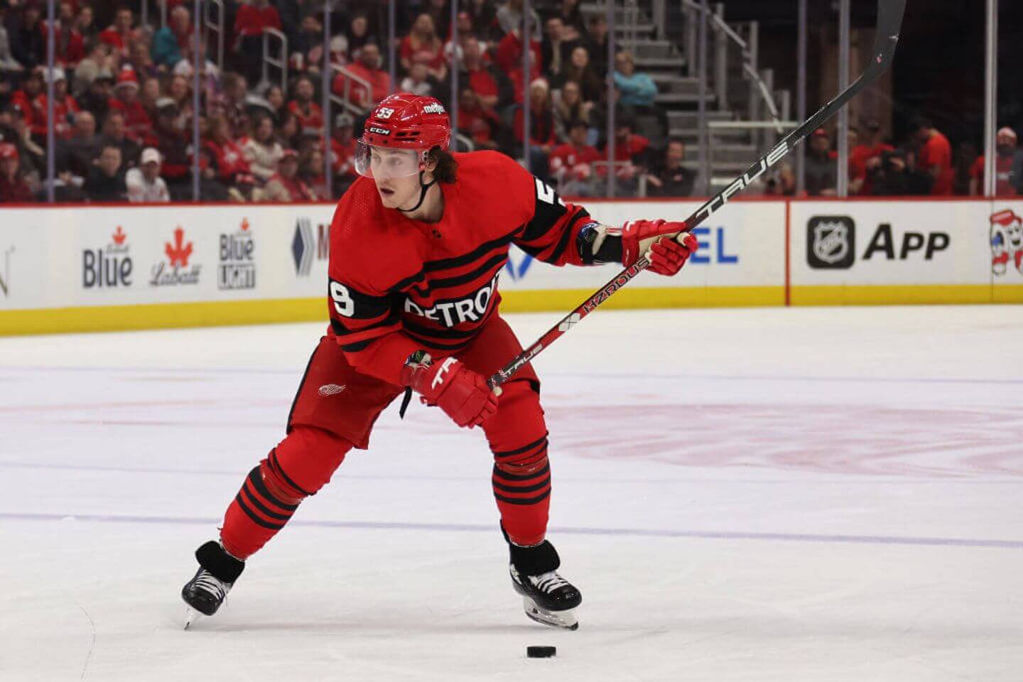 NHL trade deadline 2023 live updates: Tyler Bertuzzi to Bruins; latest deals, news, reaction and scouting reports - Vimarsana News
