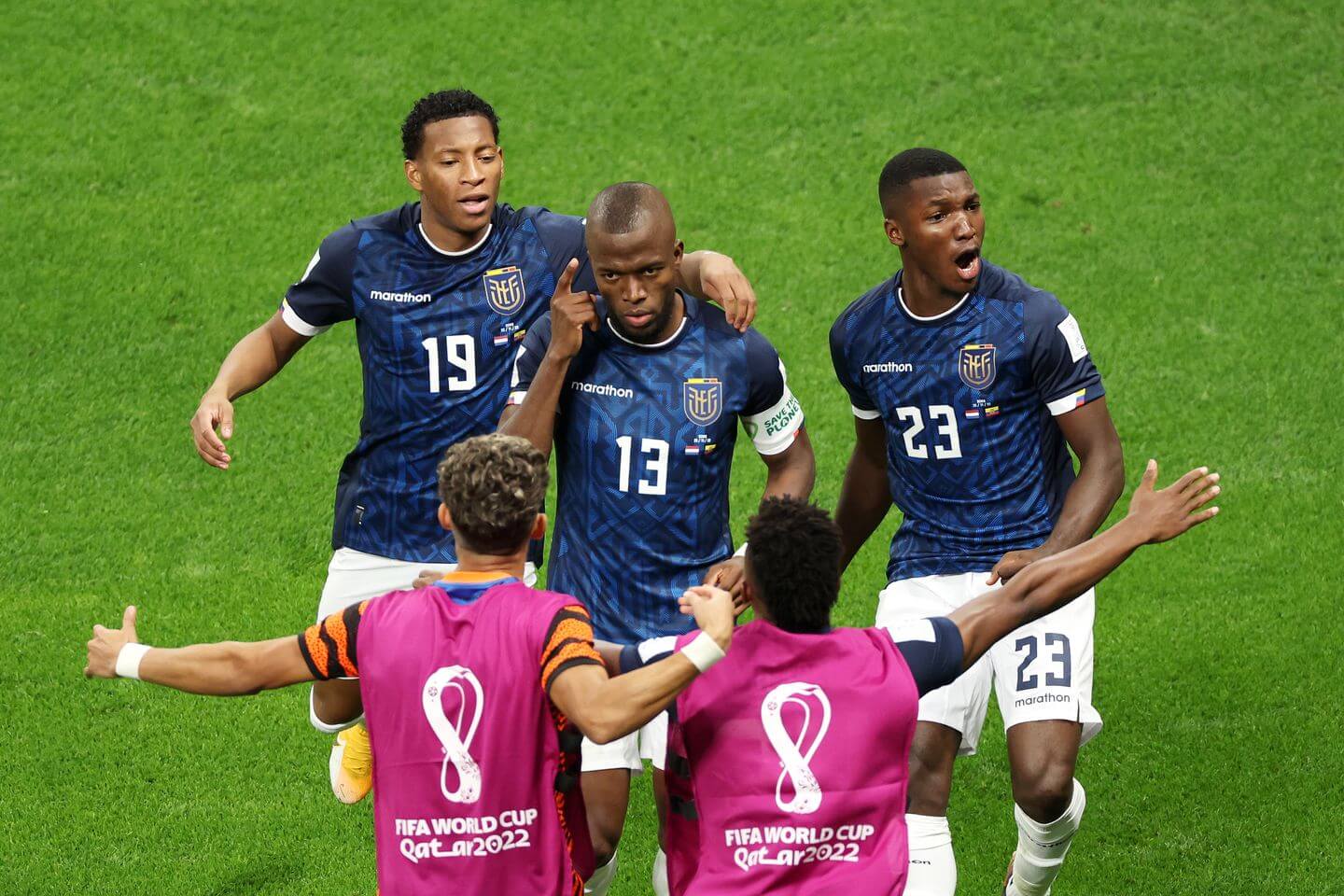 Ecuador vs. Senegal live - Vimarsana News