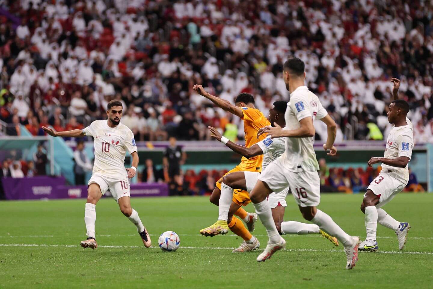 Netherlands vs Qatar LIVE: World Cup 2022 score, line-ups, analysis and latest updates as Gakpo puts his nation ahead - Vimarsana News